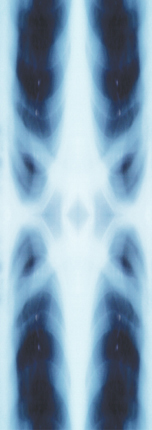 Dihalo